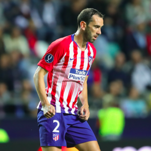 Diego Godin